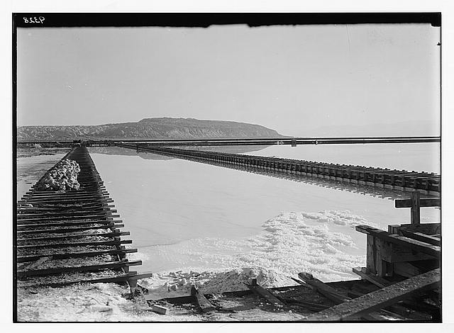 Dead Sea album prepared for the Palestine Potash Ltd....