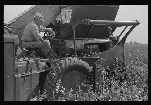 International cotton picker on Hopson Plantation,...