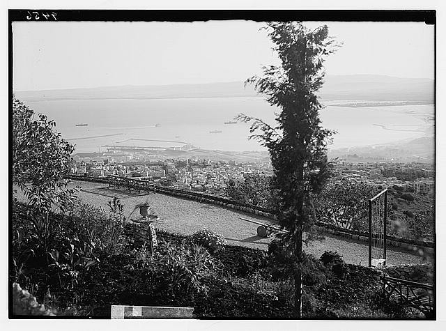 View of Haifa & the harbour from Allenby terrace.