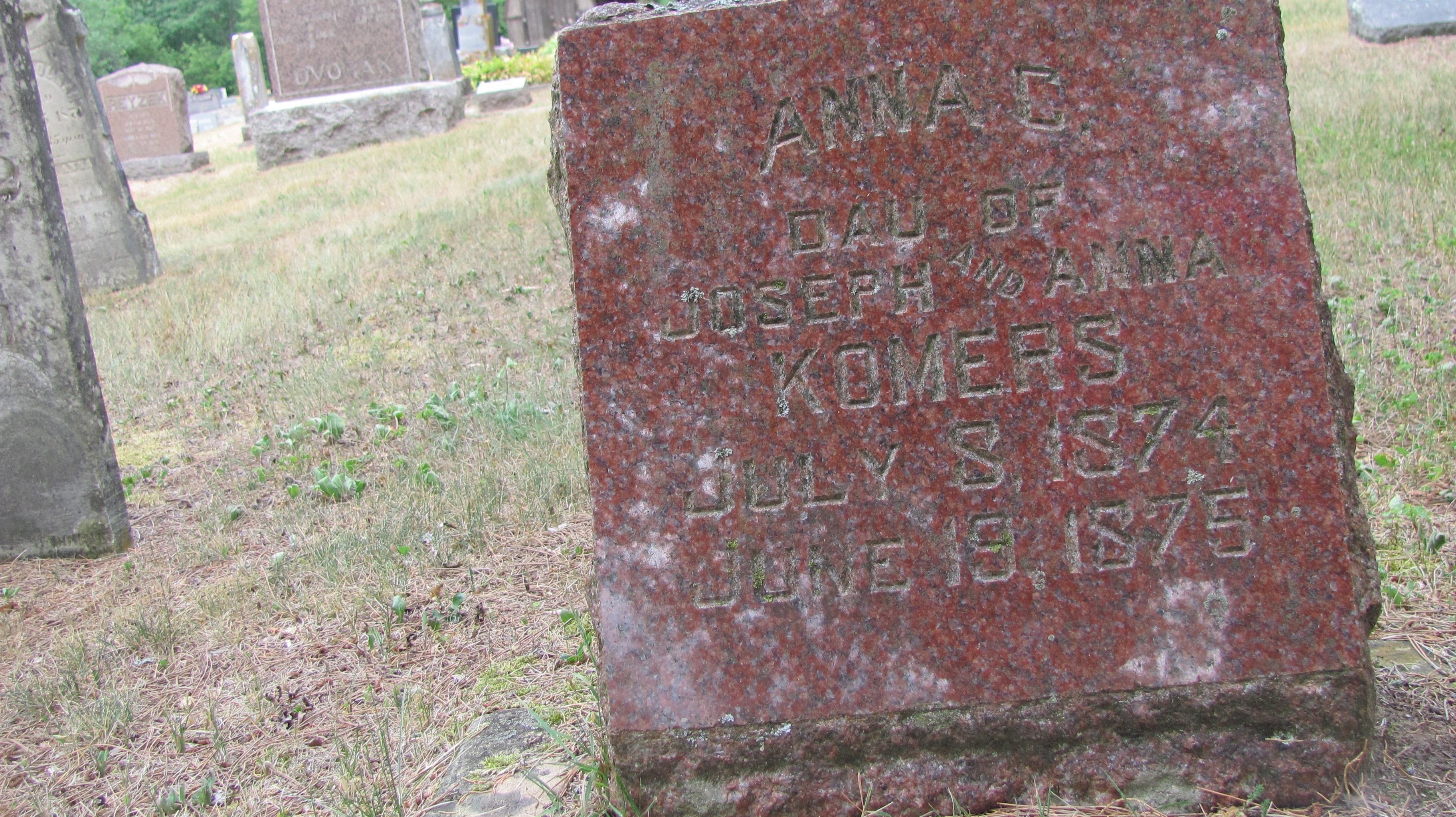 Anna Christina Komers, Grave, WI