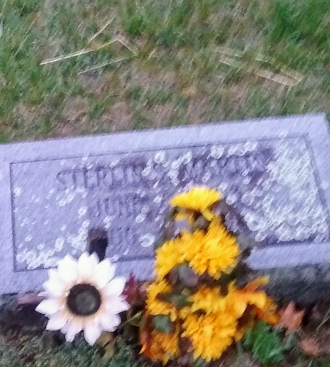 Sterlin S Martin