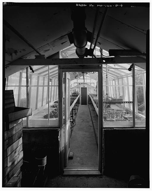 4. VIEW SOUTH, INTERIOR OF GREENHOUSE #3 (BUILDING 7) -...