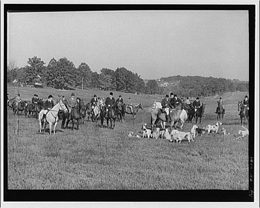 Fox hunt. Fox hunting I