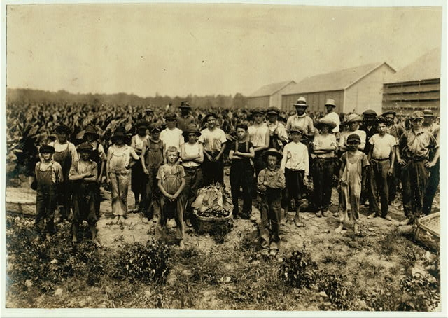 Group of field-workers at Huttings Tobacco Farm. One of 9...