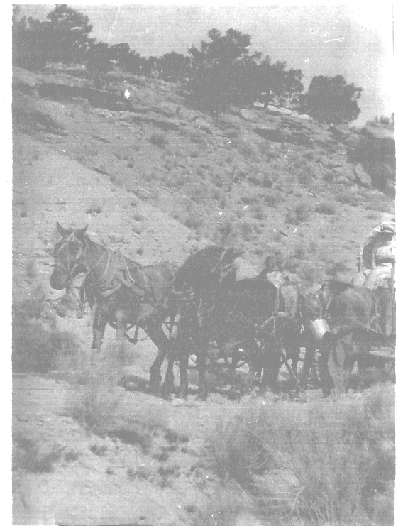 James Ellison Murray Hauling Coal from Price, Utah