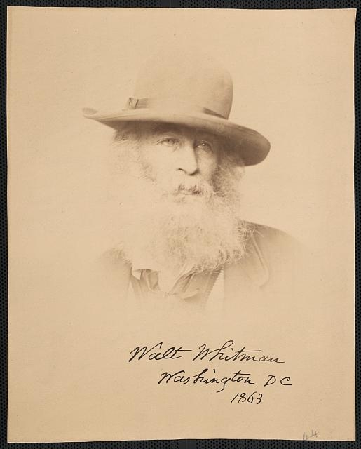 [Walt Whitman, head-and-shoulders portrait, facing right,...