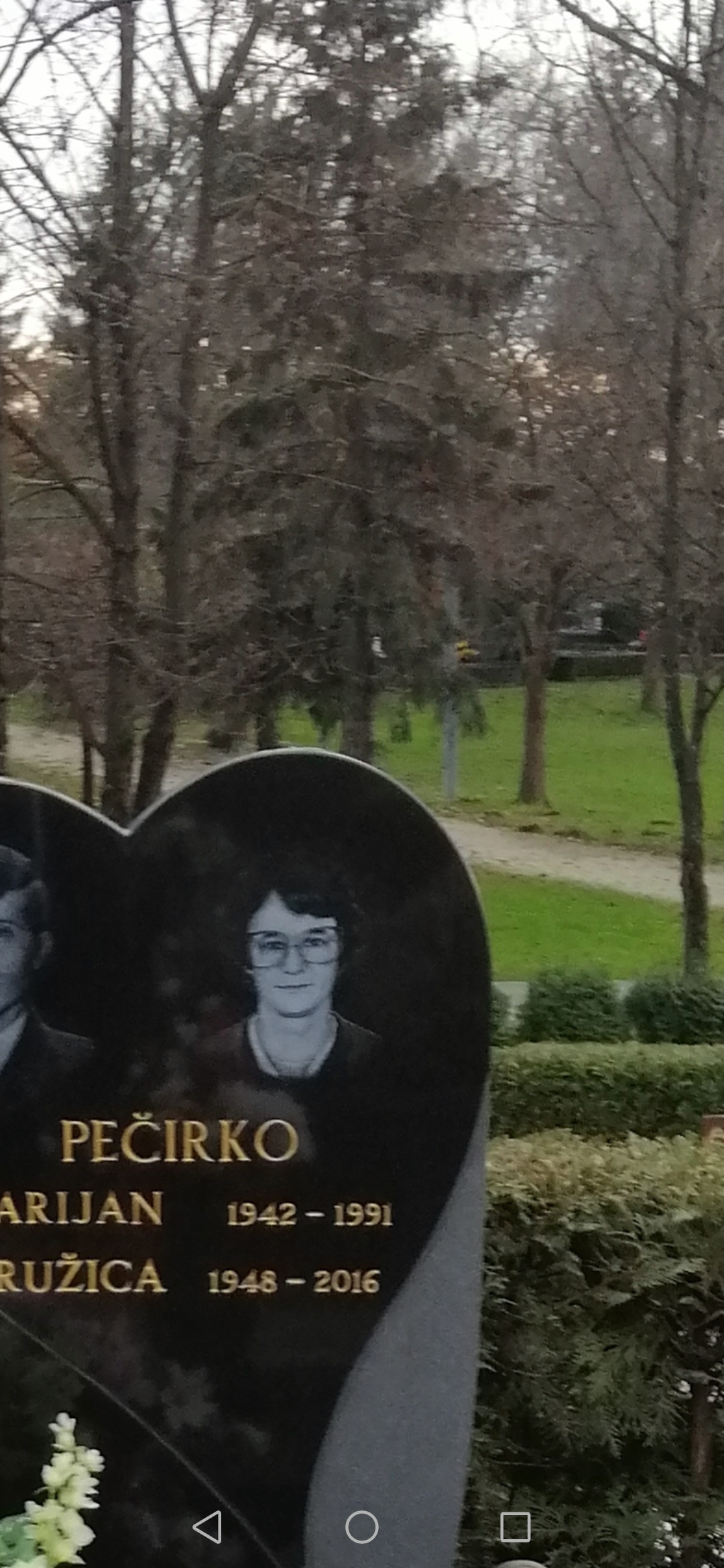 Ruža Pečirko