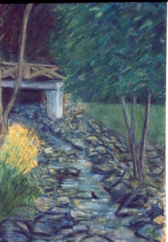 UNCA Botanical Garden