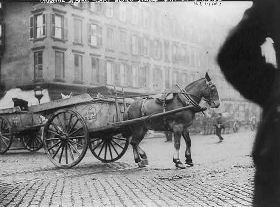 Garbage Collection New York Strike