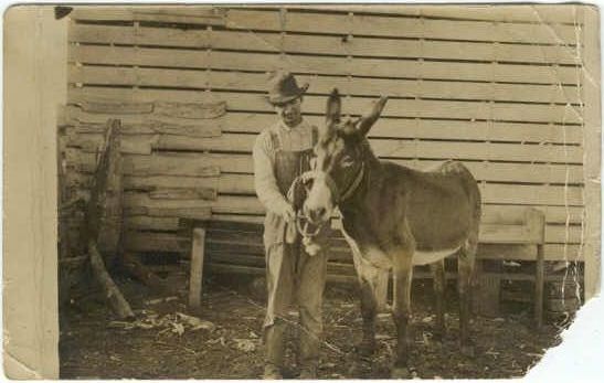 Man with Mule