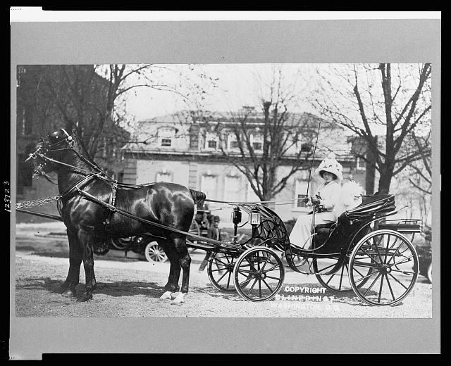 [Evalyn Walsh McLean driving horse-drawn carriage]