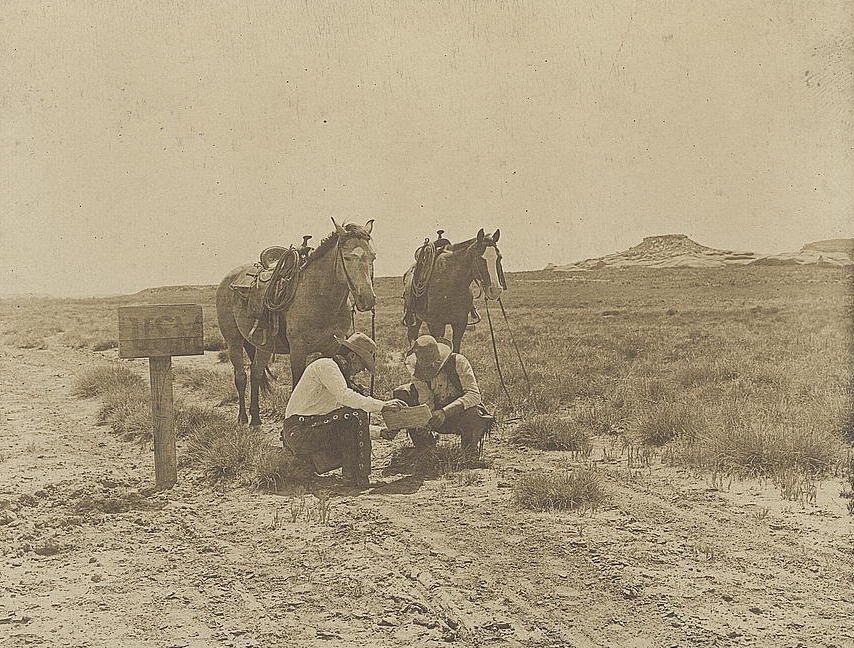 Cowboys in the News