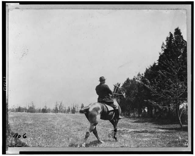 [Theodore Roosevelt, on horseback, rear view]