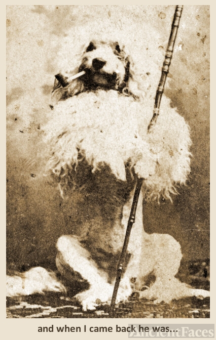 Pooch with Pipe 1880s