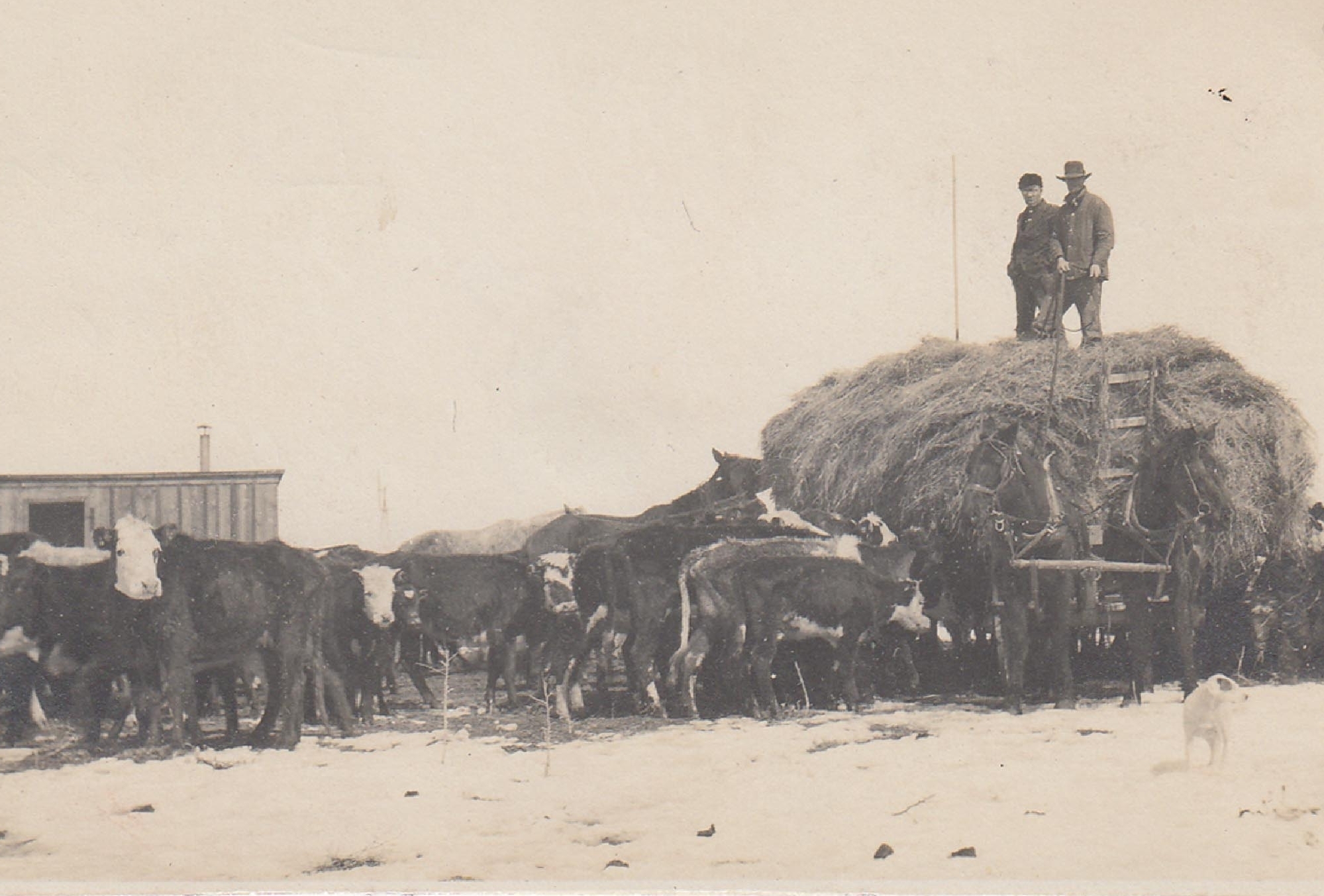 Hay Wagon at the Bar T ranch