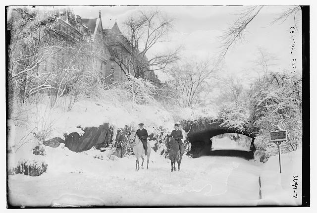 [Horseback Riding -- Central Park ??]