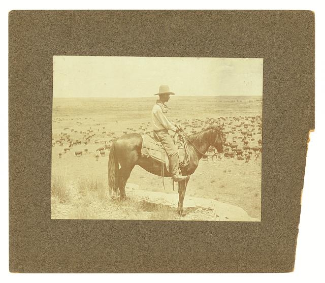 A Texas cowboy / photo by Erwin E. Smith, Bonham, Texas.