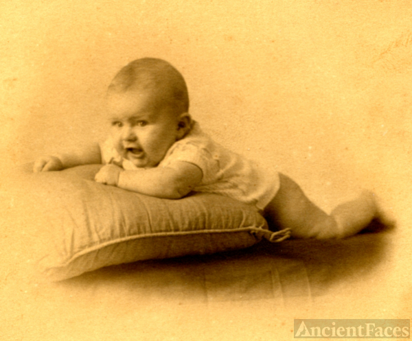 Robert Staveley Aitchison
