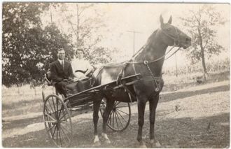 Horse and Buggy