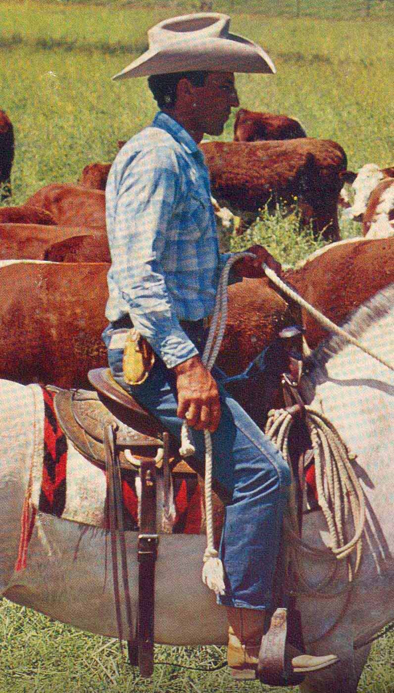 Open Range 