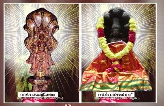 Alappattu Charitable Trust, India