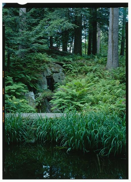 57. View of the lily pond in the northern portion of the...