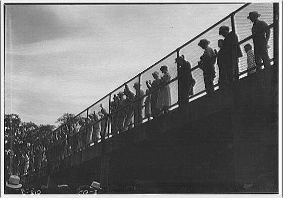 Crowds of people. Crowd behind fence