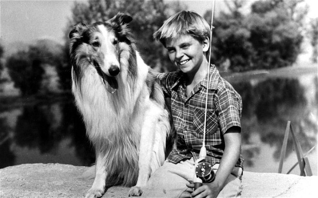 Tommy Rettig