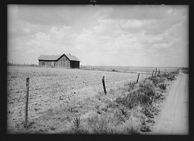 Roswell (vicinity), New Mexico. Abandoned farm on the...