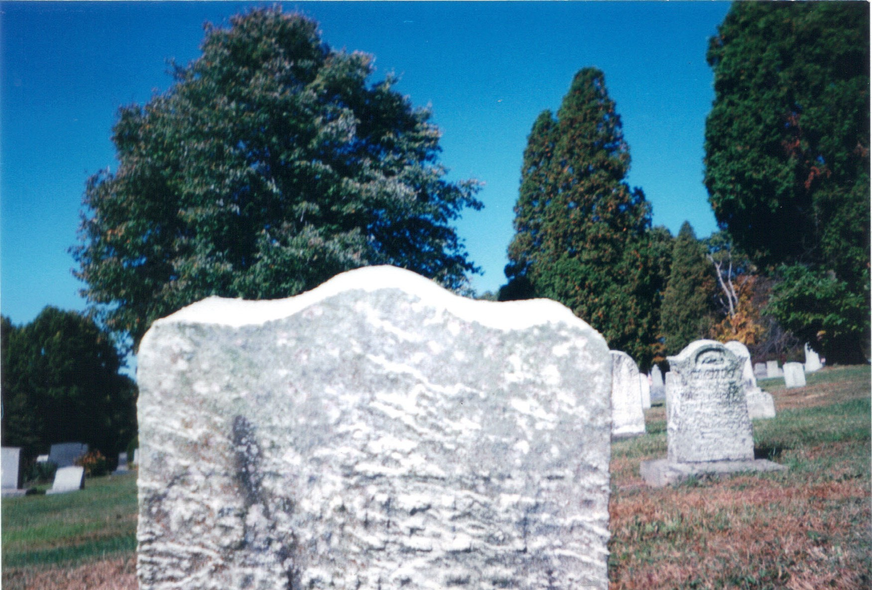 Samuel Tracy Bishoff Gravesite