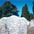 A photo of Samuel Tracy Bishoff