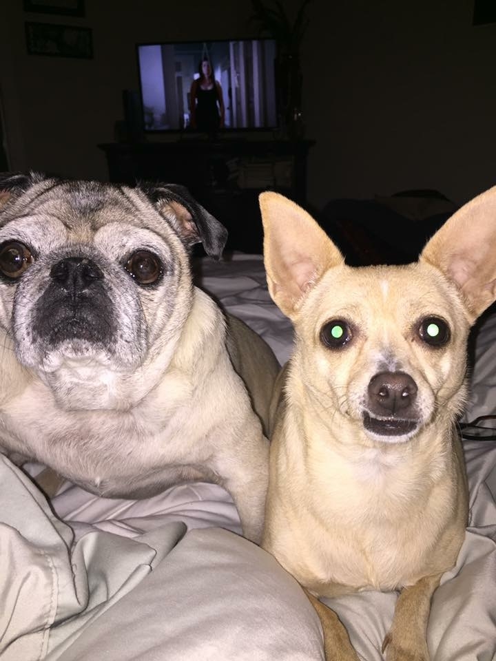 Dyna R. Forester Wallace Mote