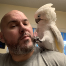 A photo of Travis E. Tippins