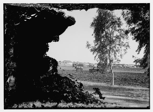 German Colonies in Palestine. Wilhelm [i.e., Wilhelma] &...