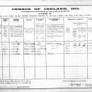 James E. Hehir--Ireland, Census, 1911
