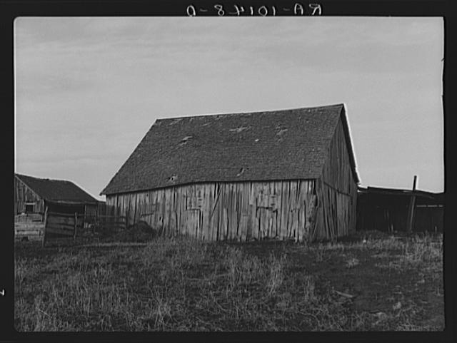 Barn on farm of Clifford Hainline, tenant farmer near...