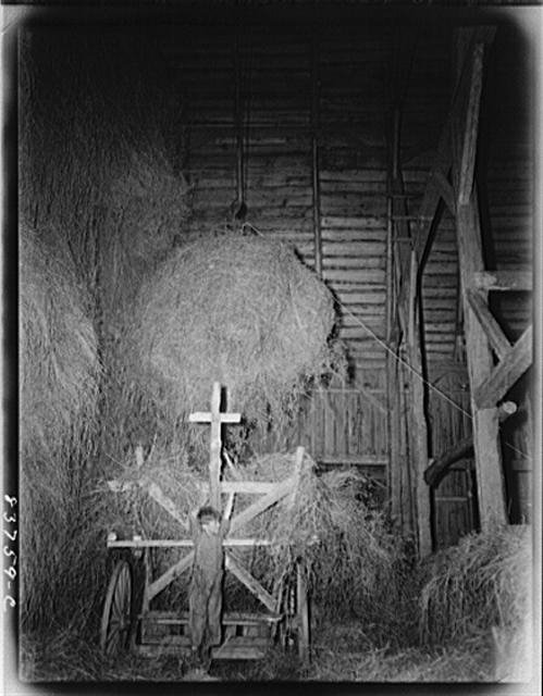 Fort Kent, Maine (vicinity). Hauling hay up into the barn...