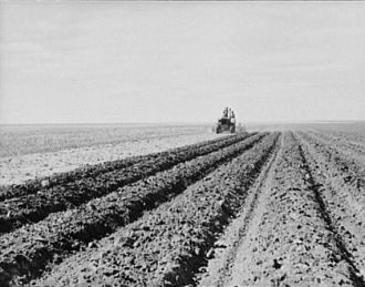 New Mexico Farm