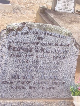 George Skinner Williams gravesite