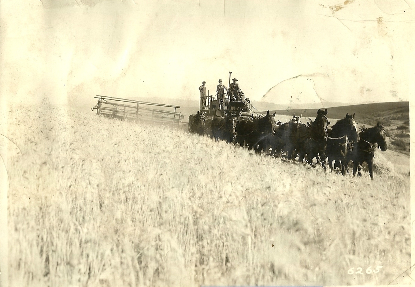 Parker Family Horse Drawn Combines, ID