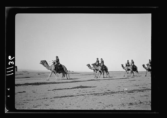 Beersheba, inspection of Camel Corps by H.E. (i.e., His...