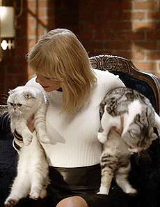 Taylor Alison Swift