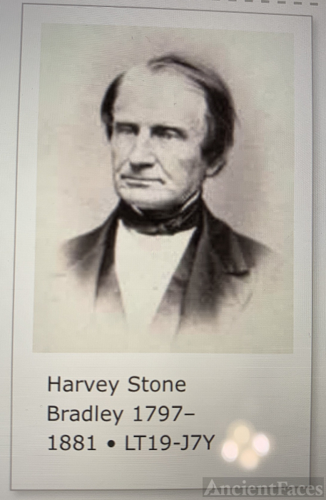 Harvey Stone Bradley