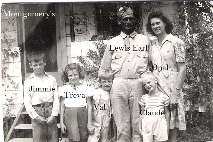Lewis E Montgomery family