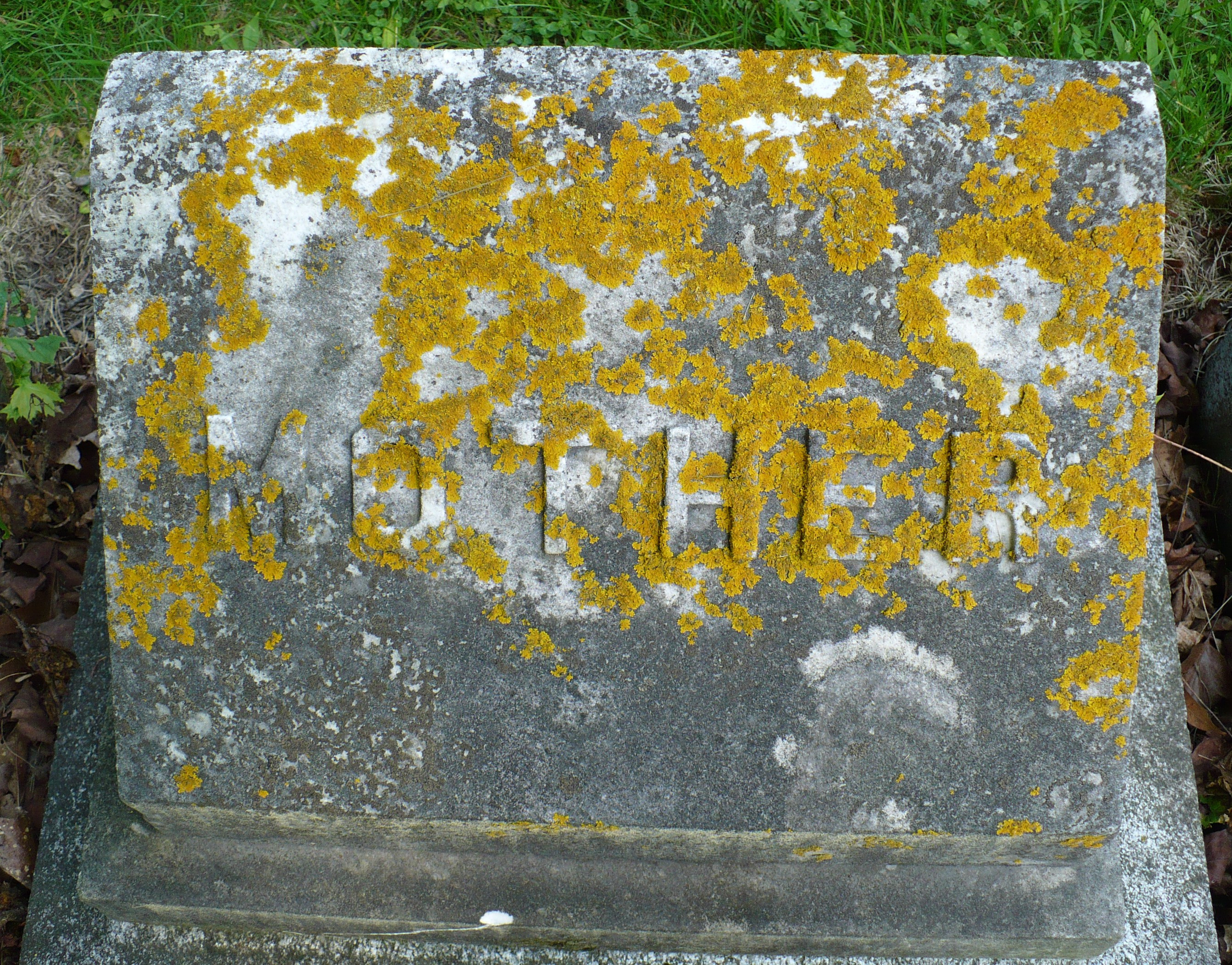 Margaret (Mullins) Connellan --gravestone 4