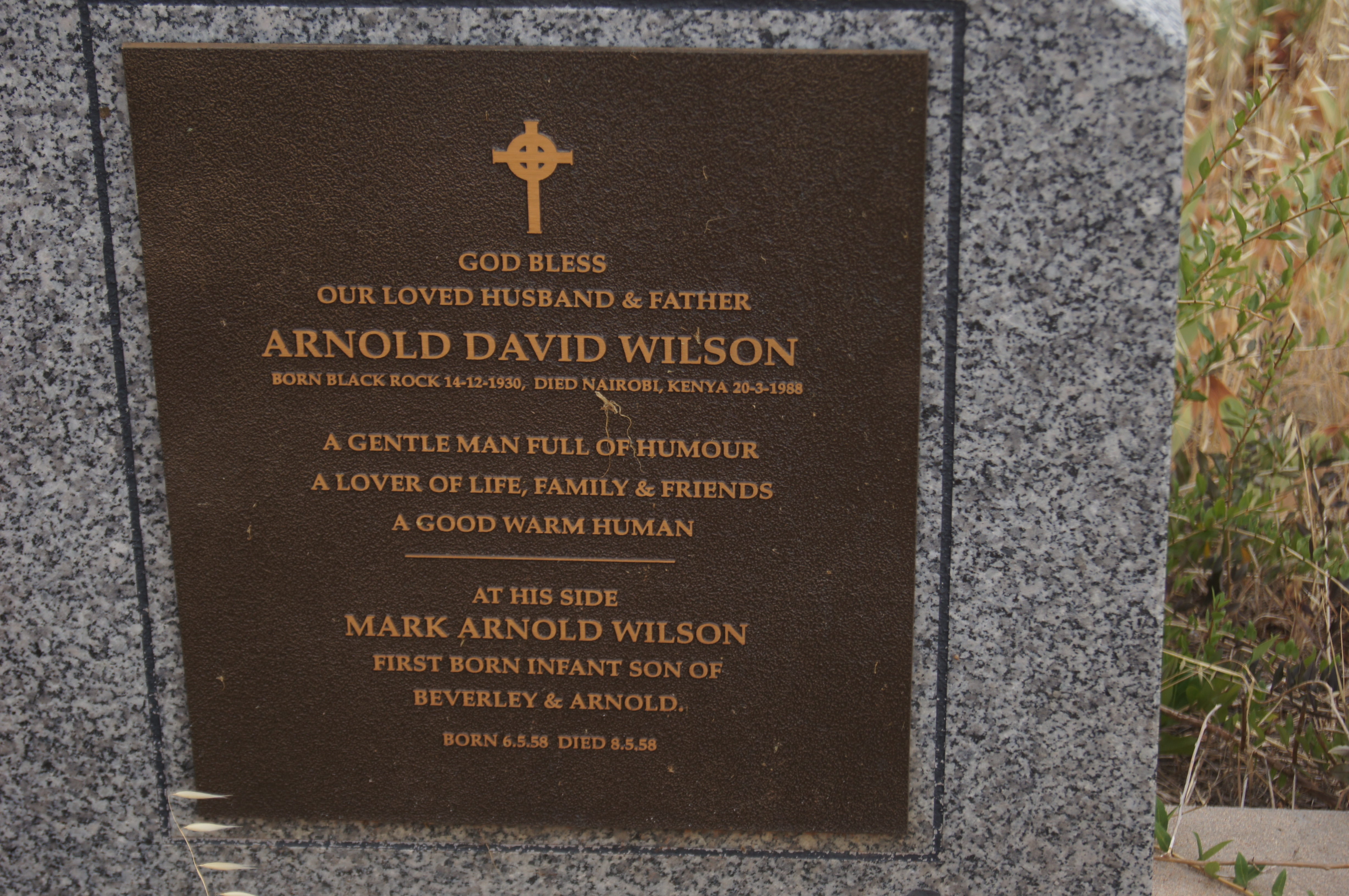 Arnold & Mark Wilson Gravesite