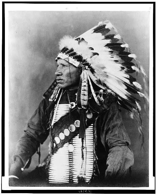 [Red Bird, Sioux Indian, half-length portrait, seated,...