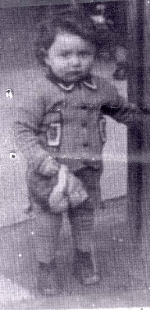 Hilel Frant