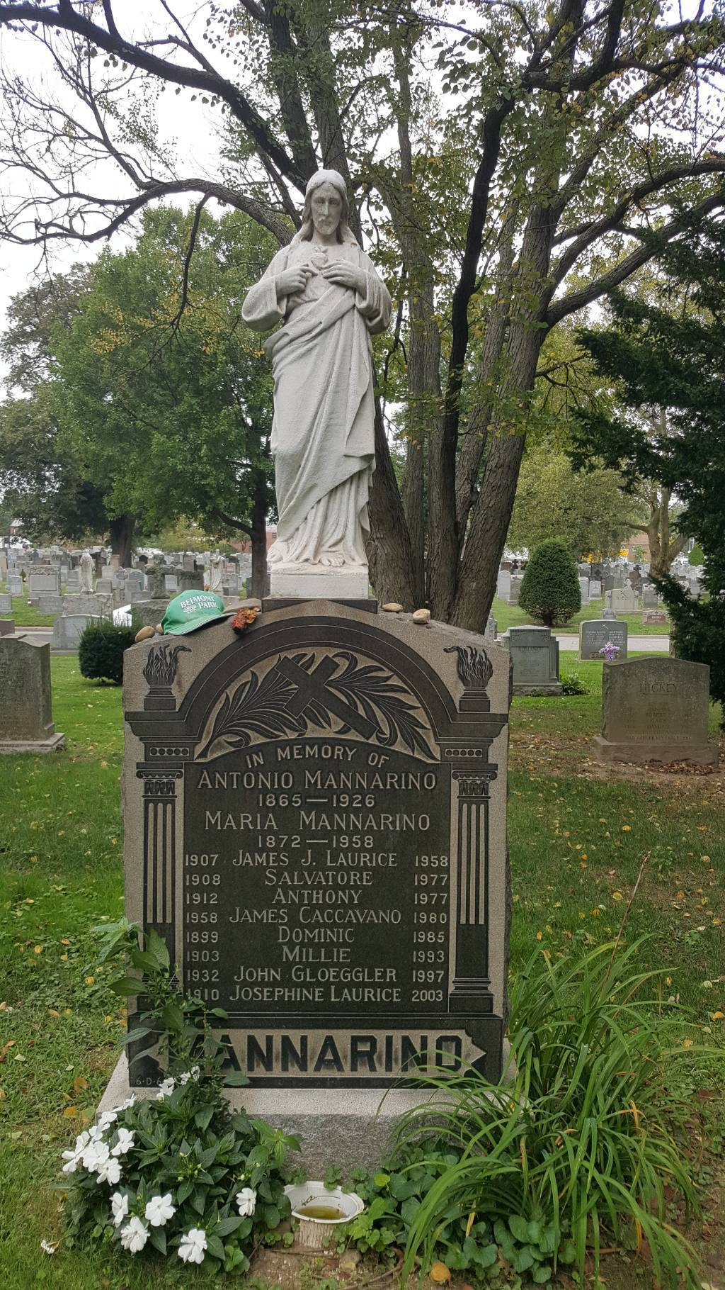 Mannarino Plot