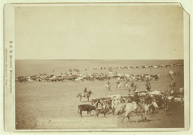 Wild West Prairies
